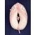 DOMBABY terhességi és szoptatós párna 30x120 cm PINK CSILLAGOS